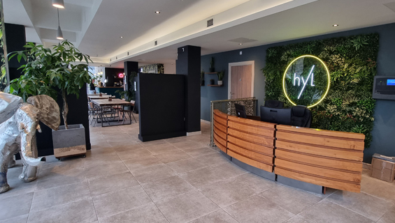 Hylyfe website
